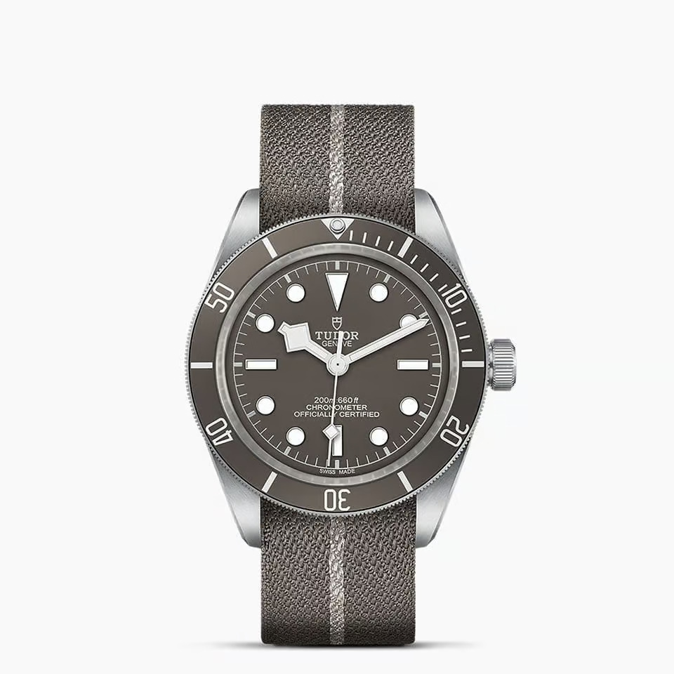 Tudor Black Bay Fifty-Eight 925 M79010SG-0002