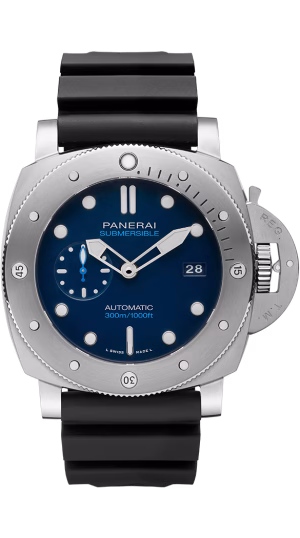 Submersible BMG-Tech™