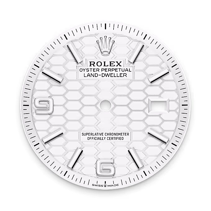 Rolex Land-Dweller White Rolesor - combination of Oystersteel and white gold M127234-0001 - swiss watch