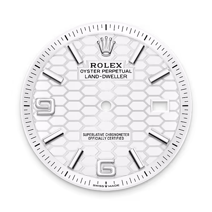 Rolex Land-Dweller White Rolesor - combination of Oystersteel and white gold M127334-0001 - swiss watch